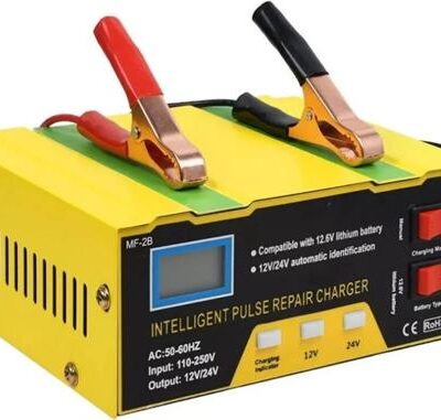 Solarix Full Automatic Intelligent Battery Charger